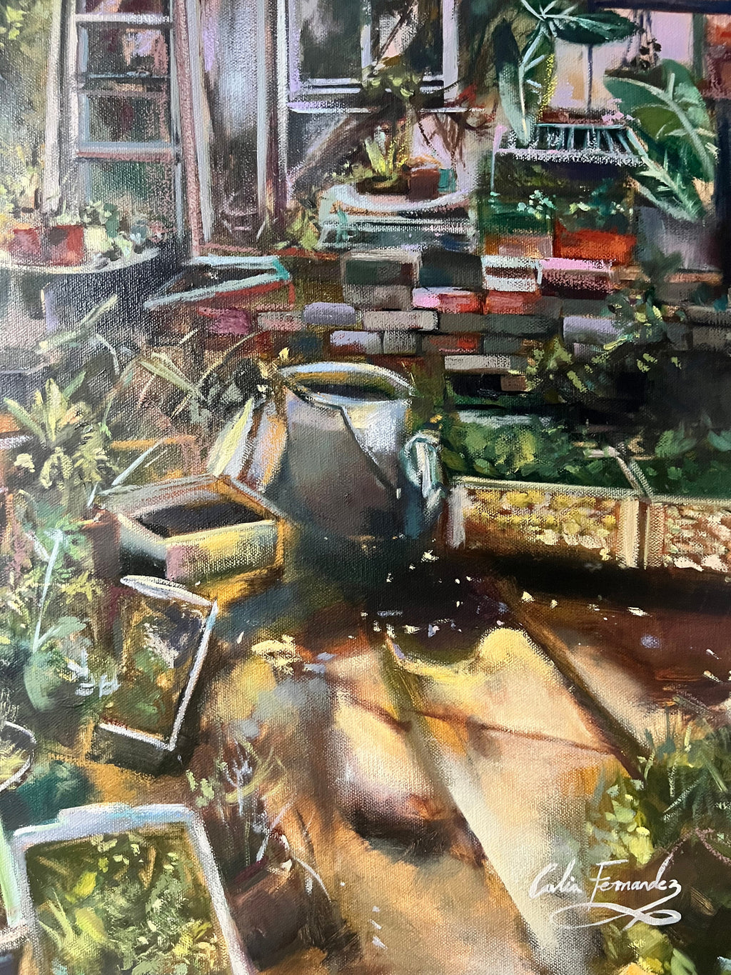 Osmanthus