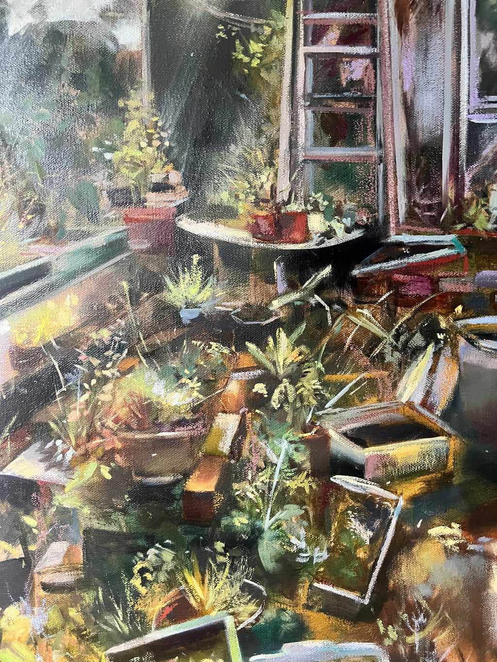 Osmanthus